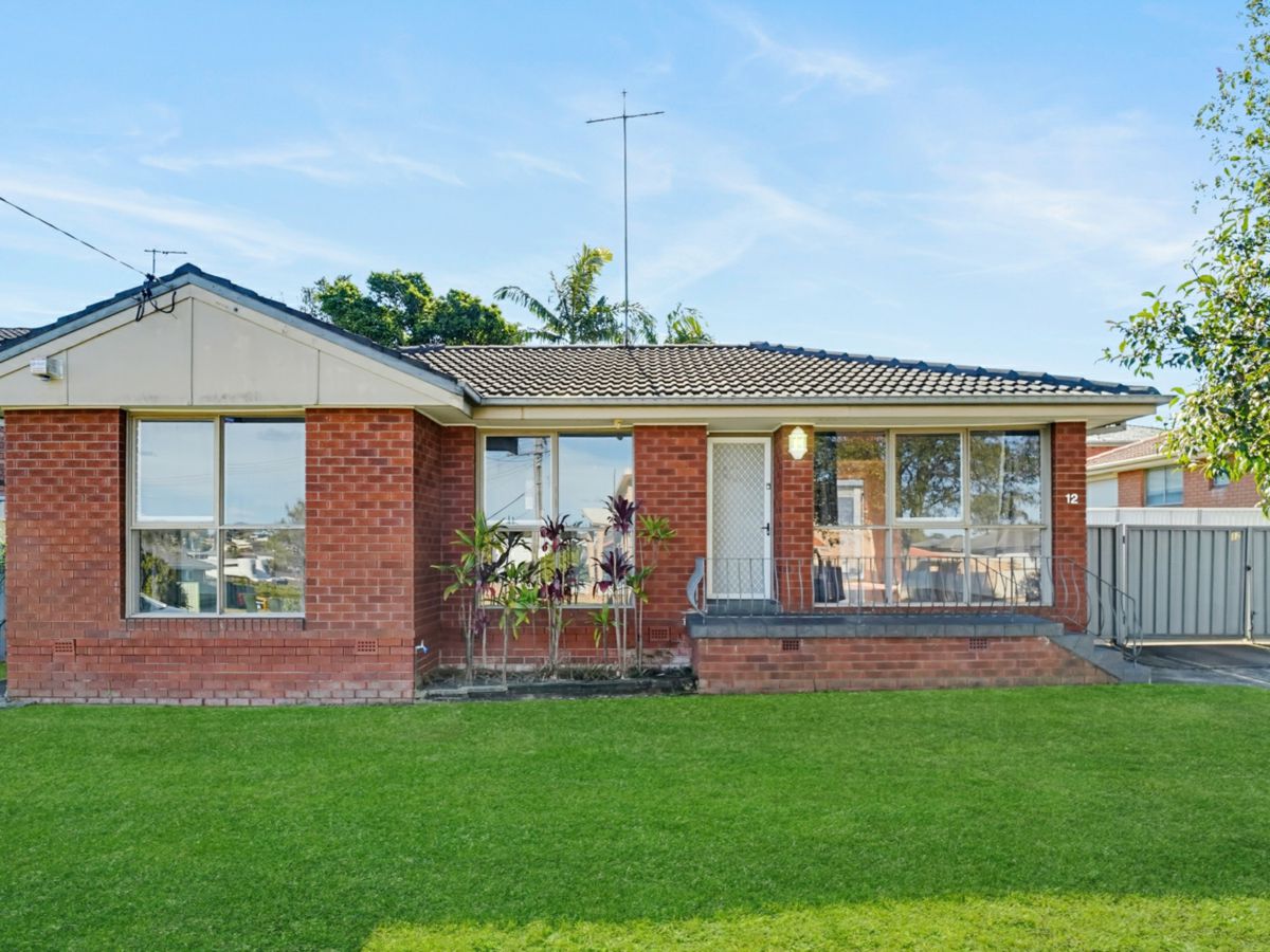 12 Baden Street, Greystanes - image 1