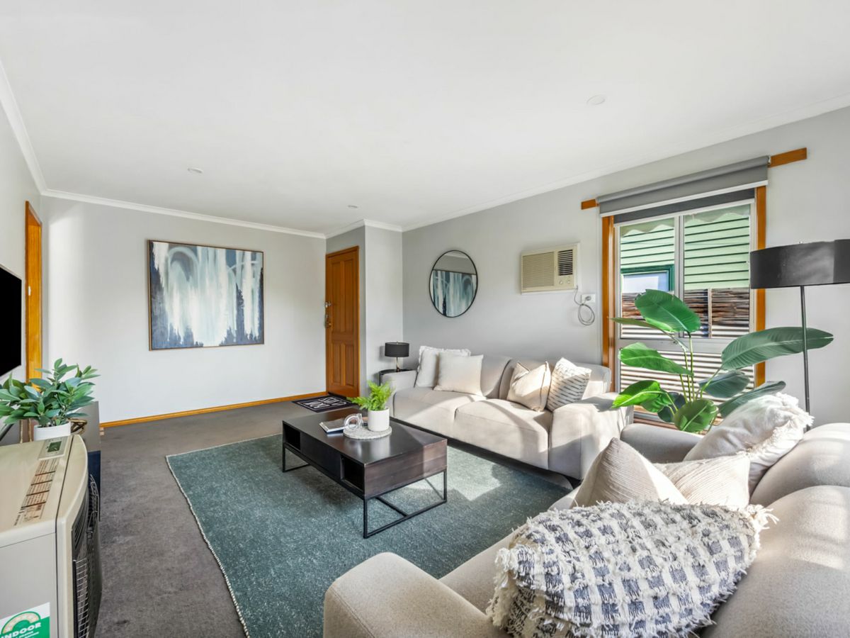 207 Brougham Street, Soldiers Hill - image 3