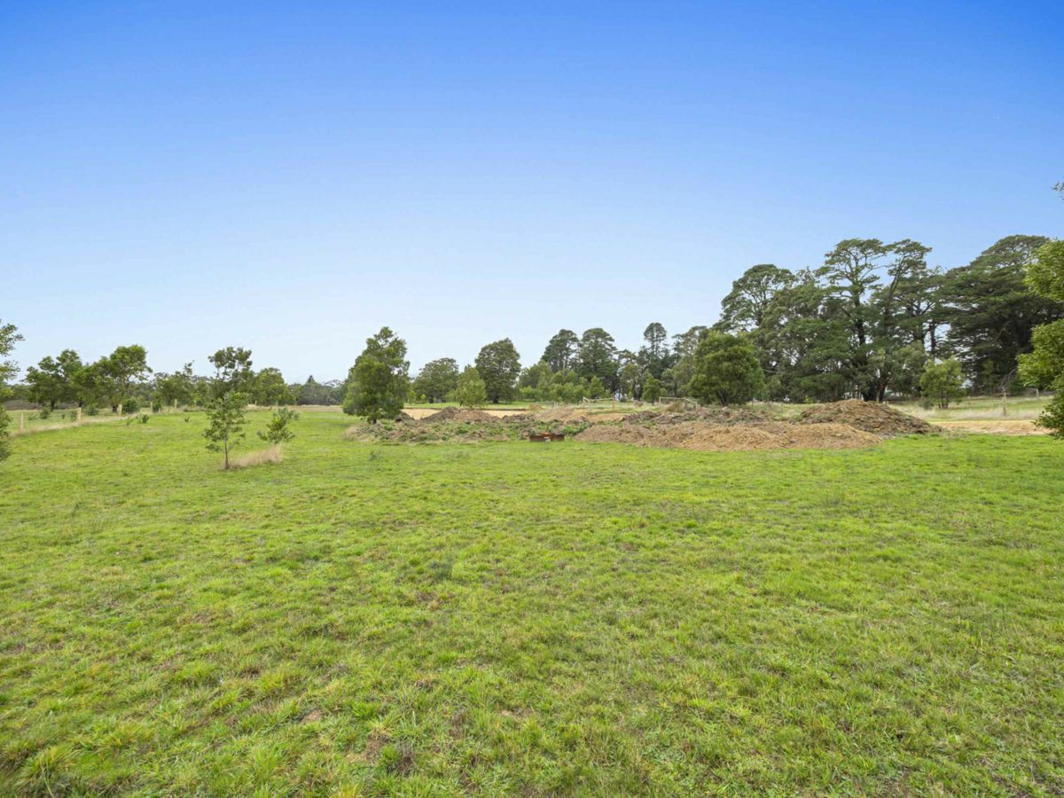 LOT16A, 25 Grandmas Road, Staffordshire Reef - image 3
