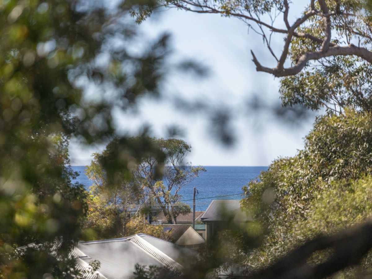 63 Carroll Avenue, Mollymook Beach - image 2