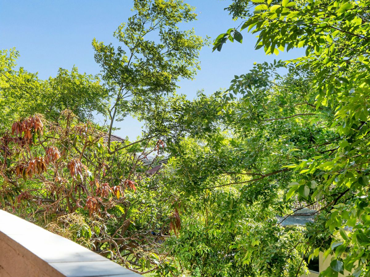 14/5 Western Crescent, Gladesville - image 3