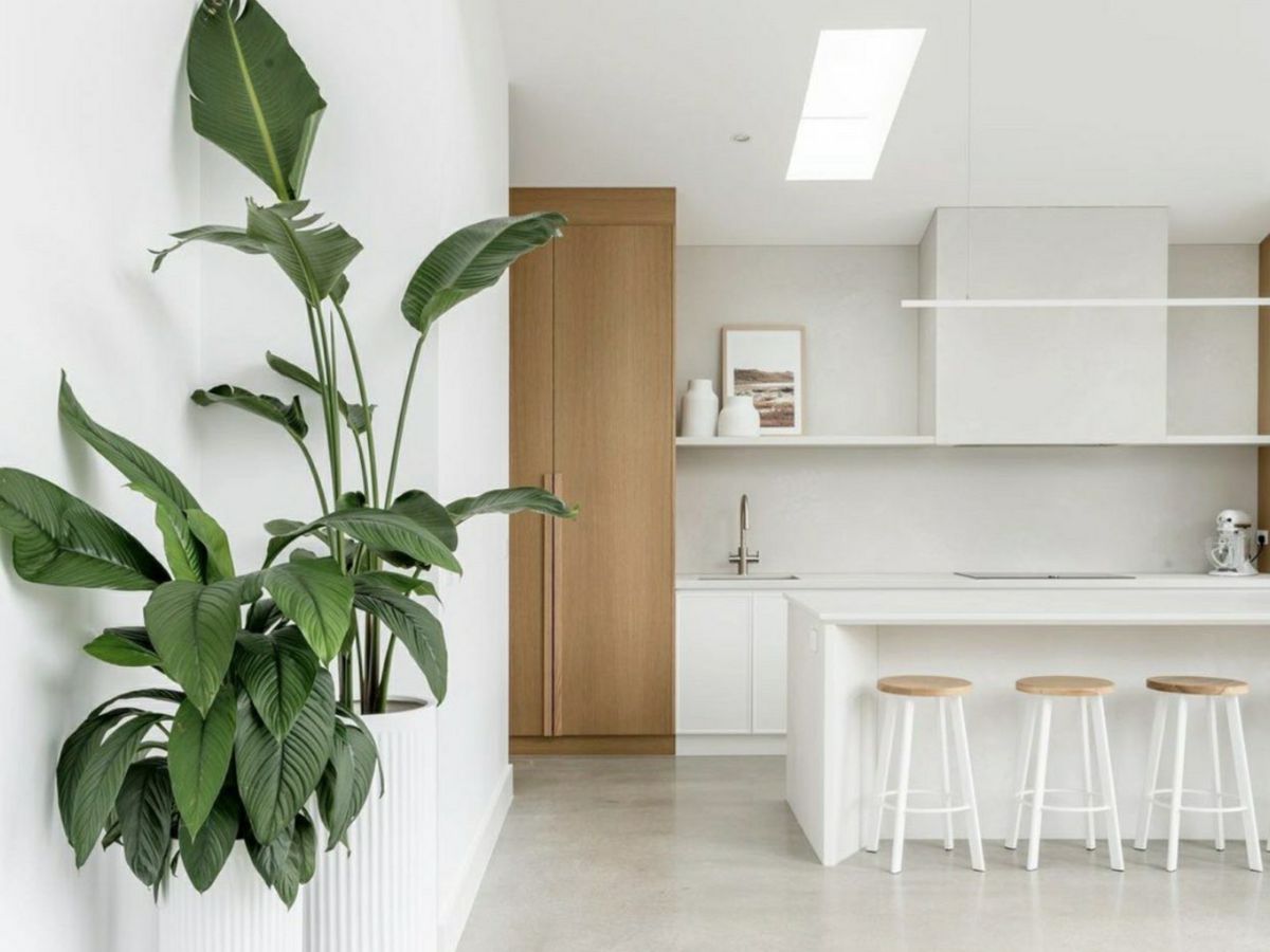 19 Drumcondra Avenue, Drumcondra - image 3