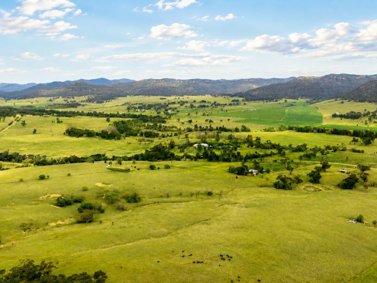 1063 Martindale Road, Denman - image 2