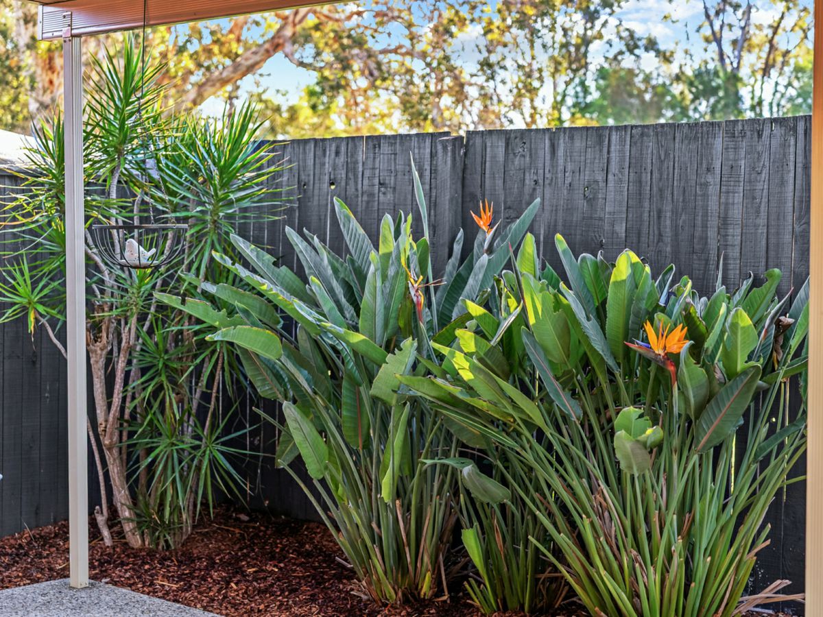 25/64 Groth Road, Boondall - image 3