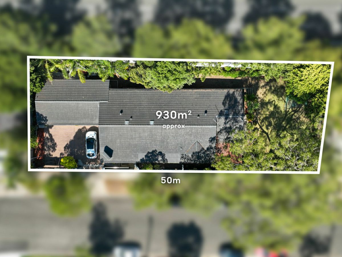 118 Newton Road, Strathfield - image 1
