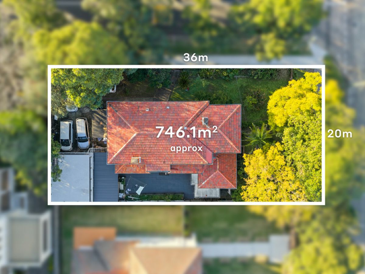 2A Carrington Avenue, Strathfield - image 1