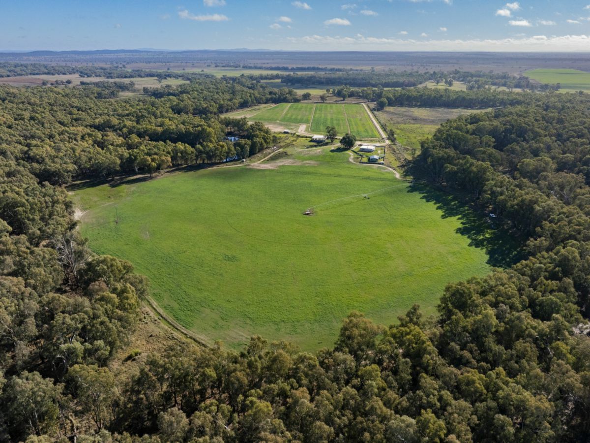 4007 Kiacatoo Road, Condobolin - image 1