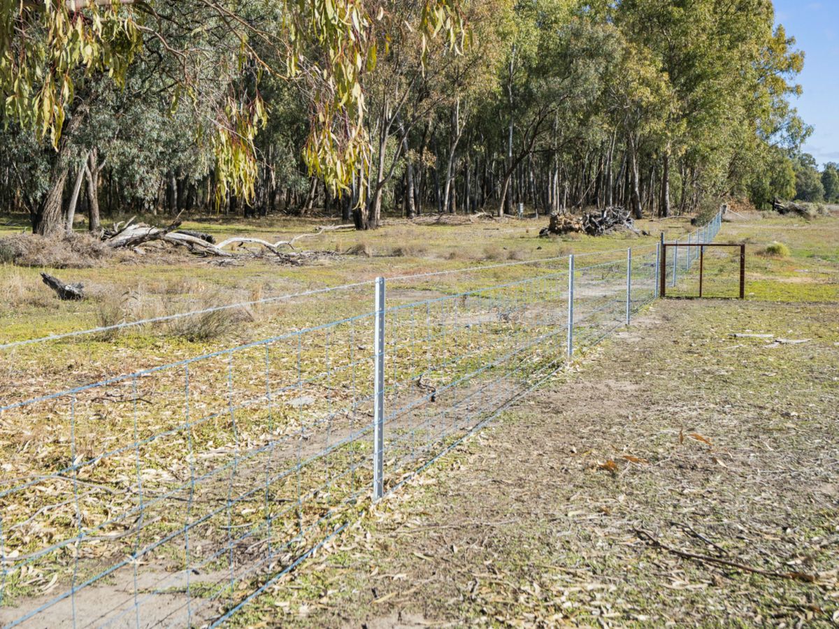 4007 Kiacatoo Road, Condobolin - image 3