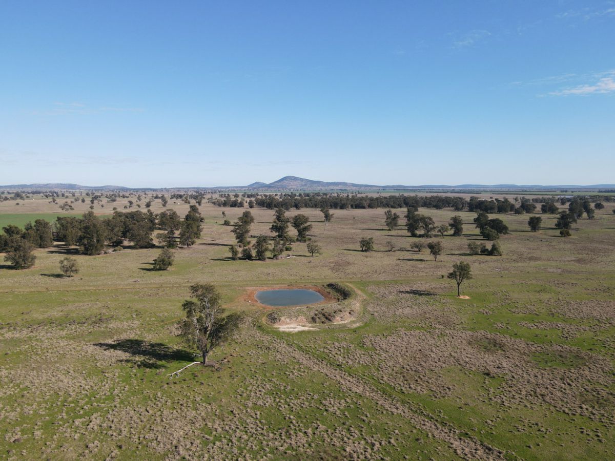 Wirrinya Road, Forbes - image 1