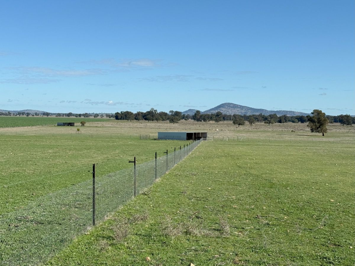 Wirrinya Road, Forbes - image 3