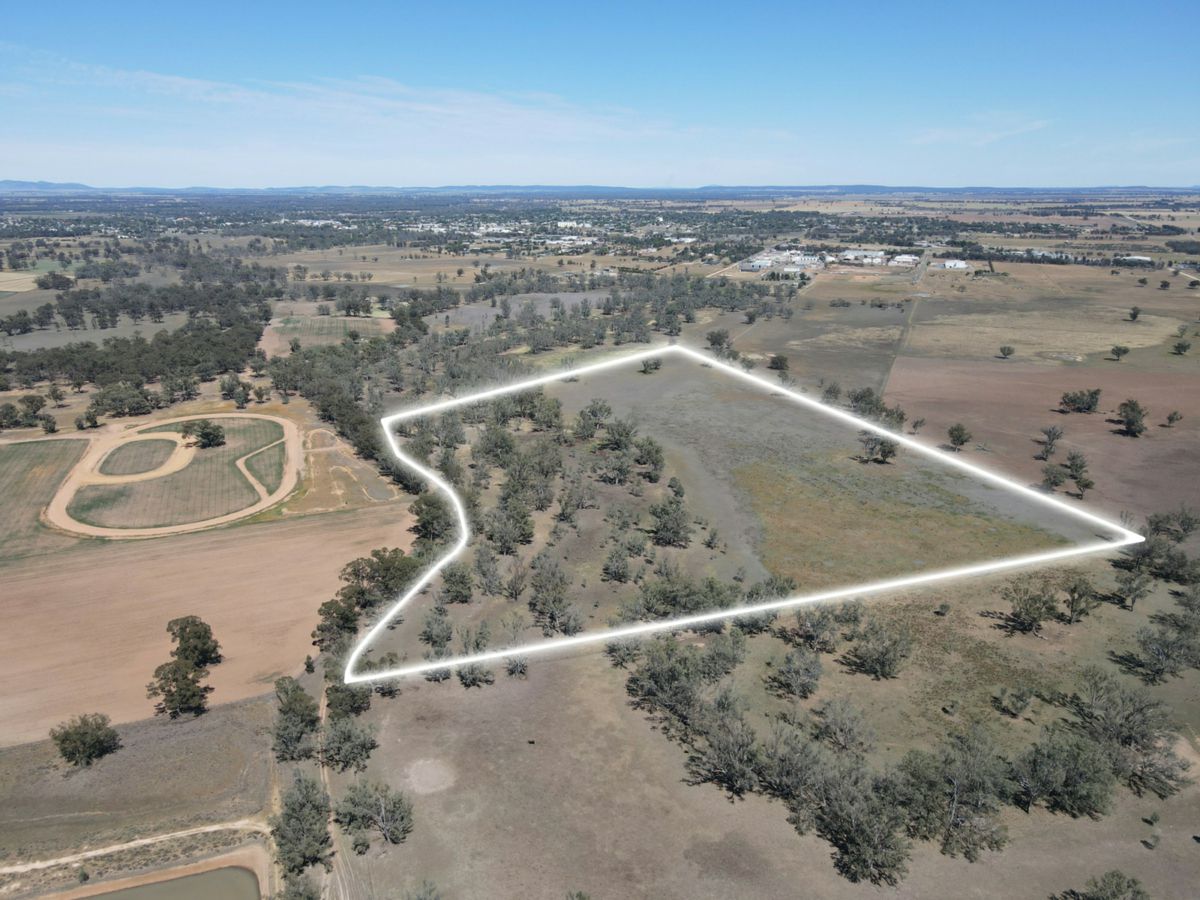 1359 Saddleback Road, Forbes - image 2