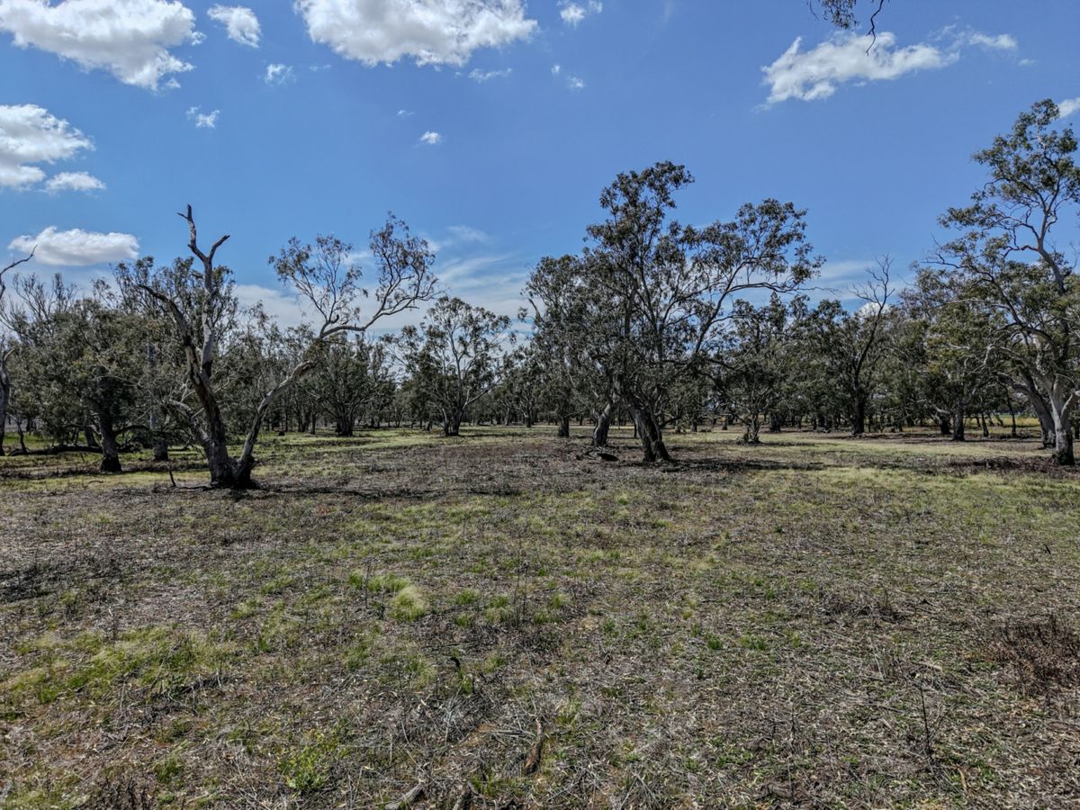 1359 Saddleback Road, Forbes - image 3