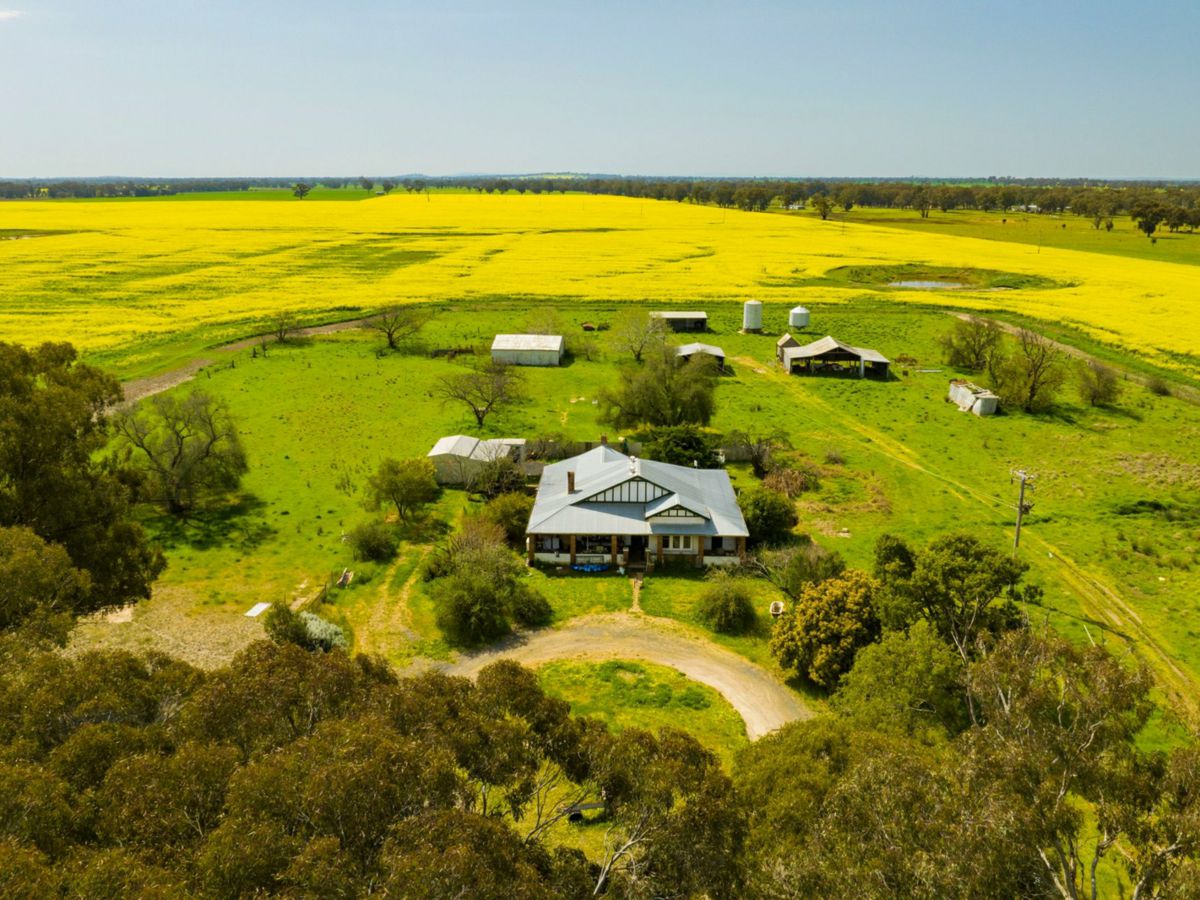 93 Racecourse Lane, Stockinbingal - image 1