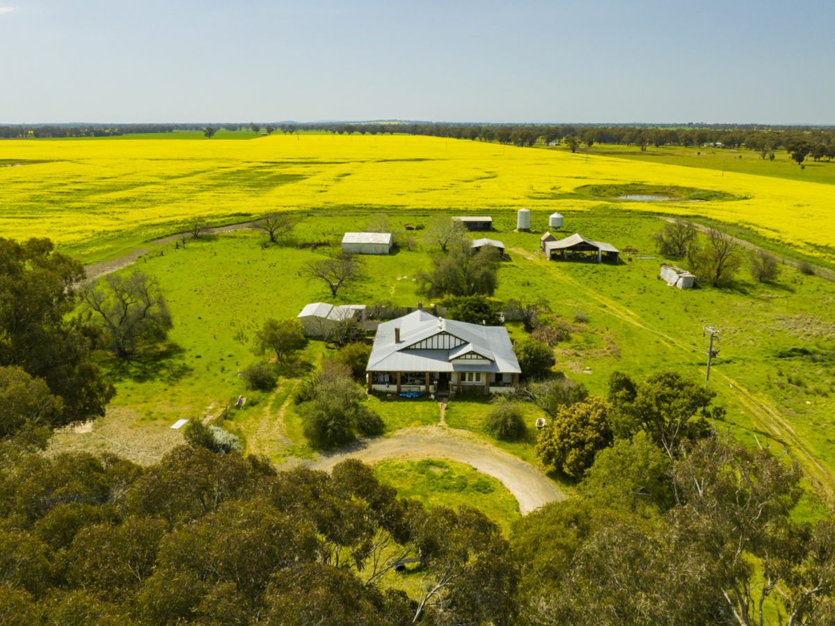 93 Racecourse Lane, Stockinbingal - image 1