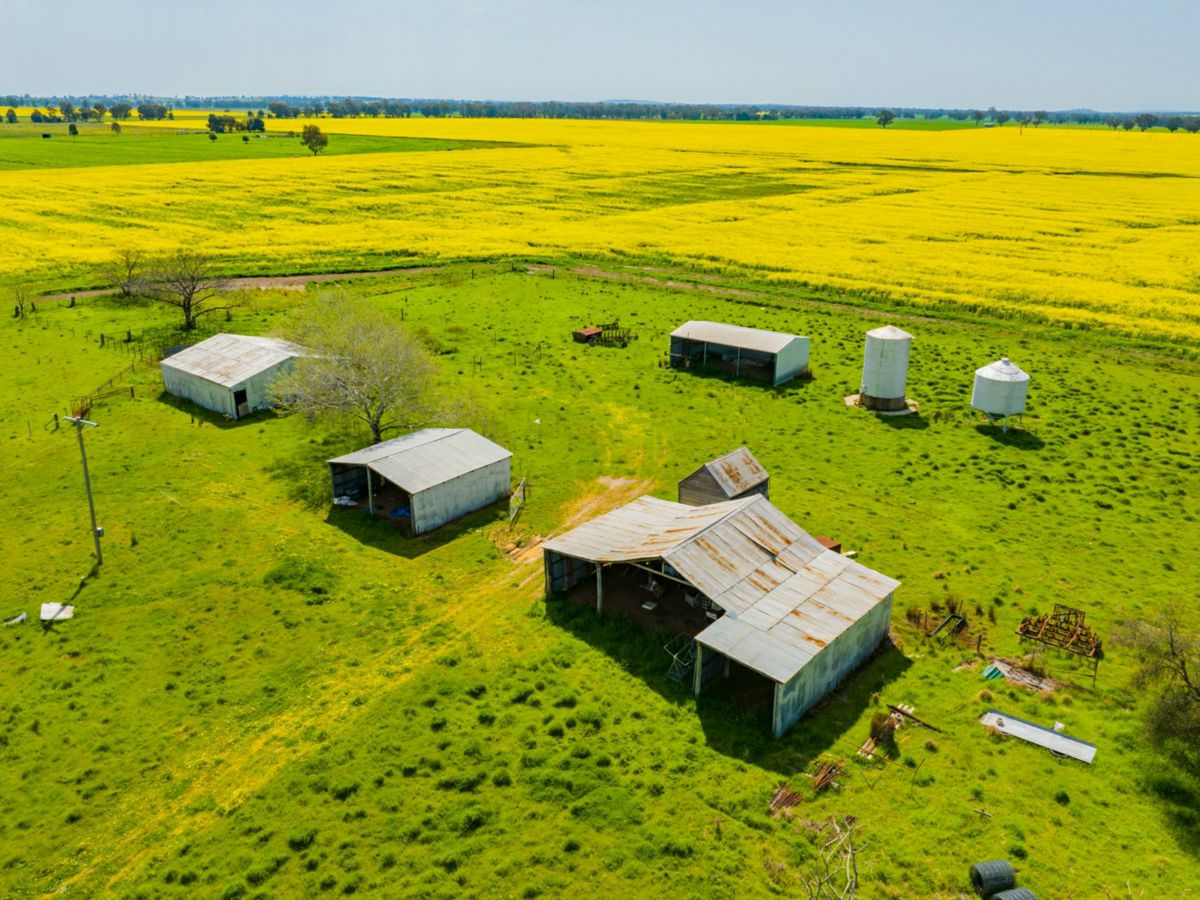 93 Racecourse Lane, Stockinbingal - image 2