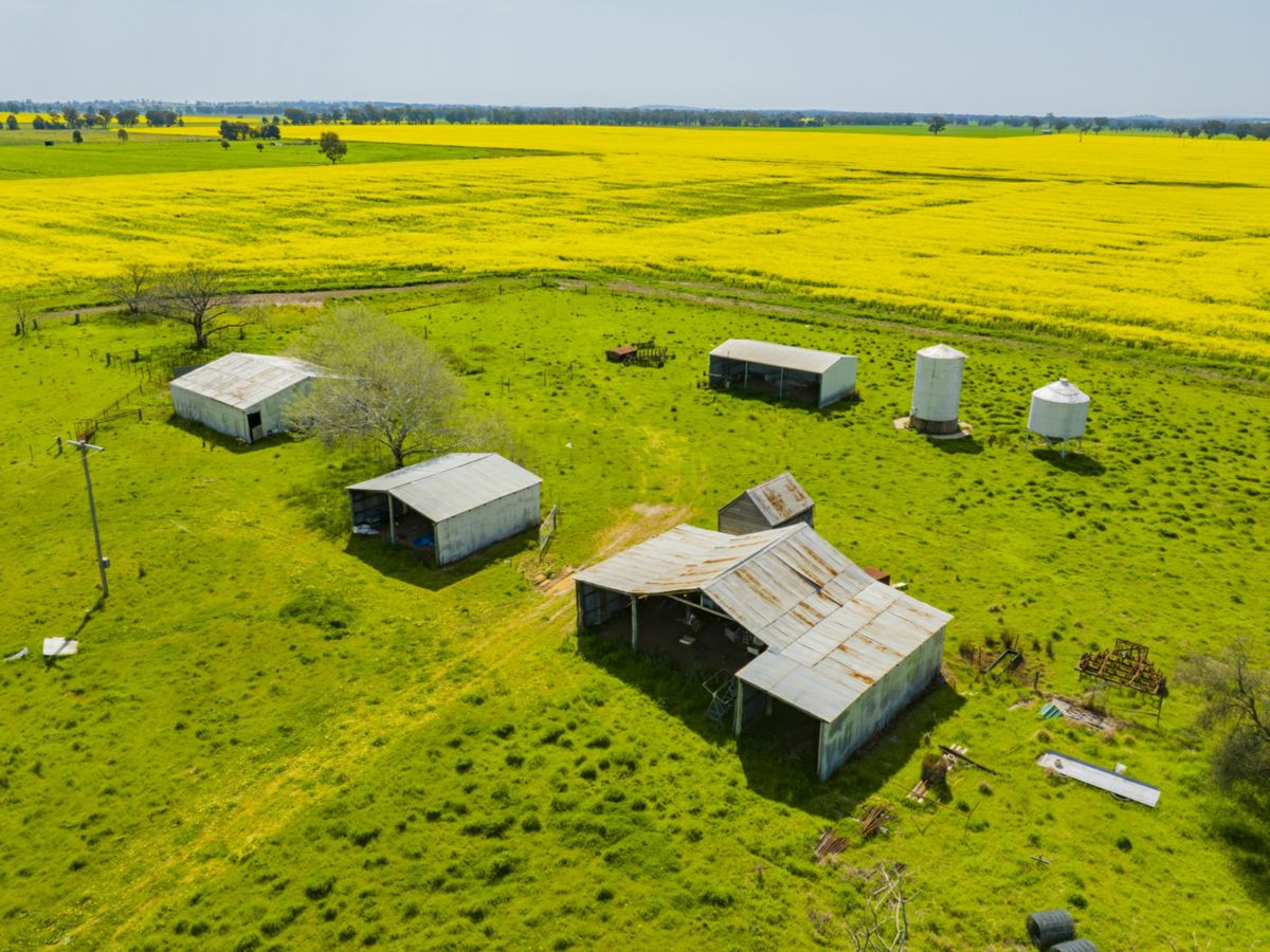 93 Racecourse Lane, Stockinbingal - image 2