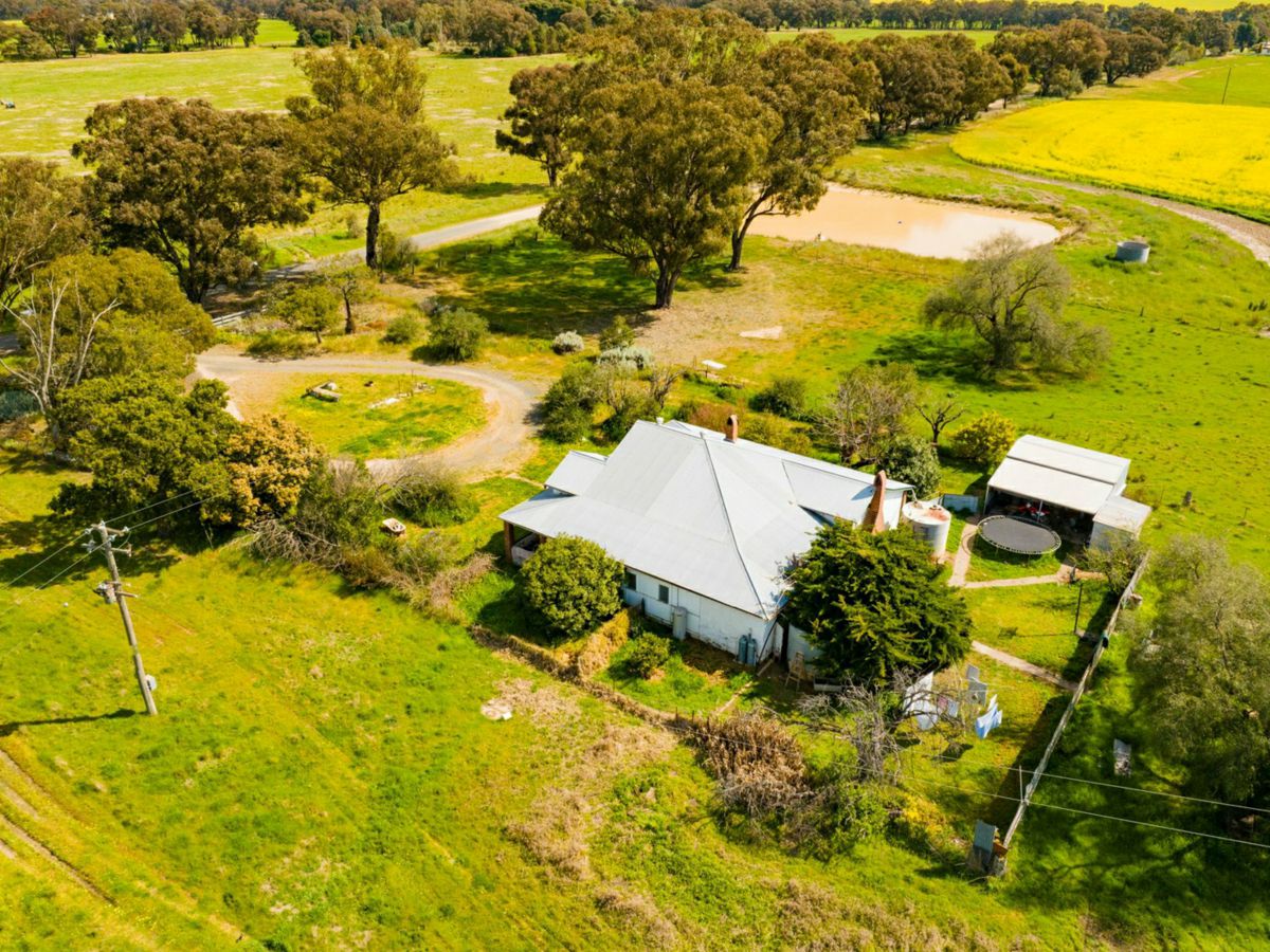 93 Racecourse Lane, Stockinbingal - image 3