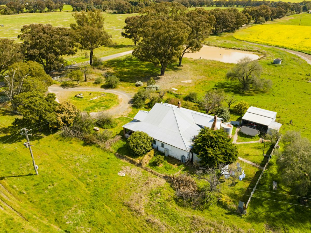 93 Racecourse Lane, Stockinbingal - image 3