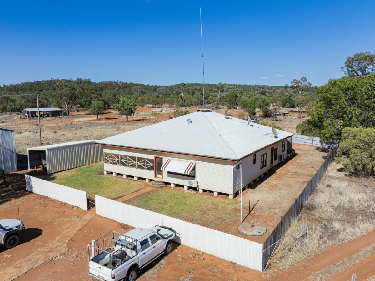 2880 Tallebung Road, Condobolin - image 2