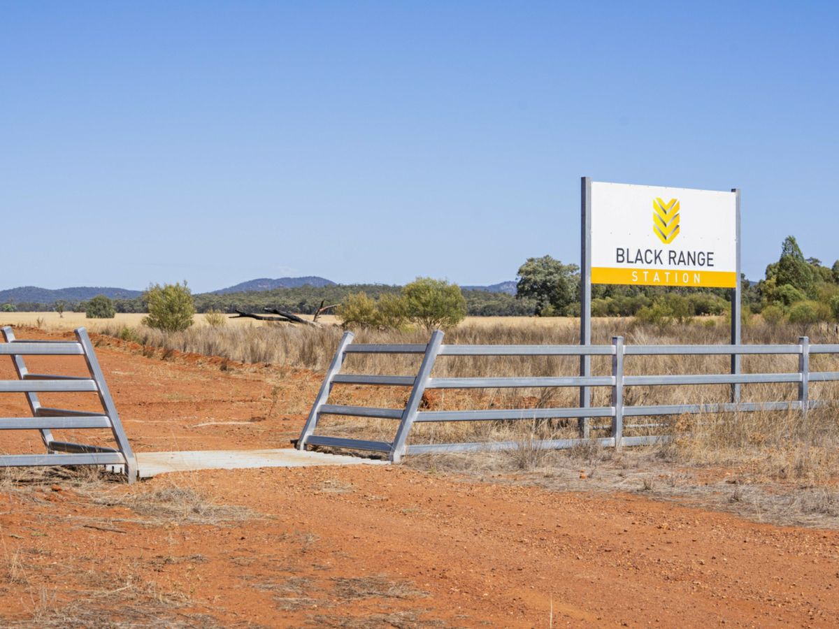 2880 Tallebung Road, Condobolin - image 3