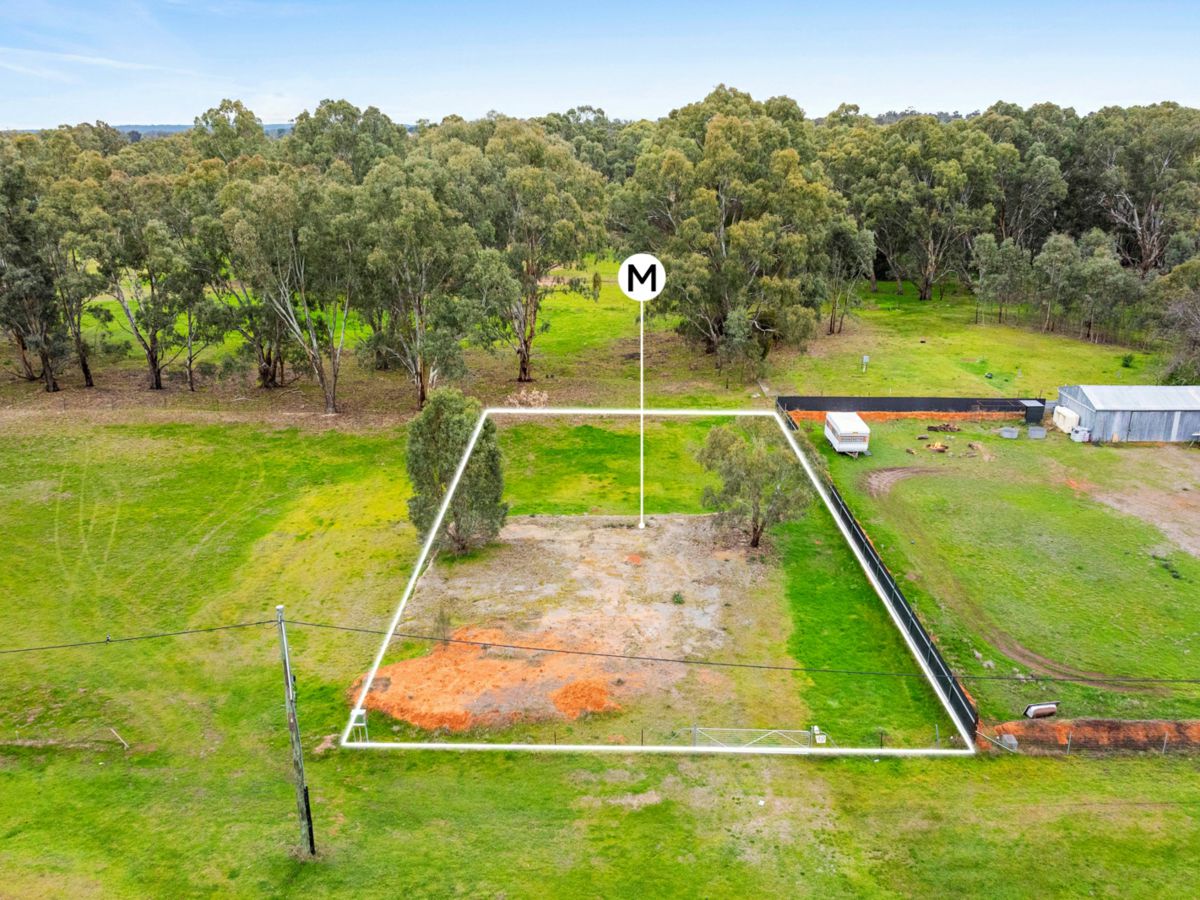 41 Hankinson Street, Narrandera - image 1