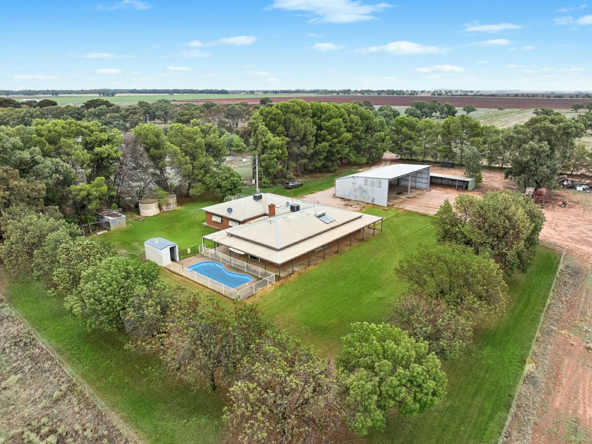 456 Boundary Road, Leeton - image 1