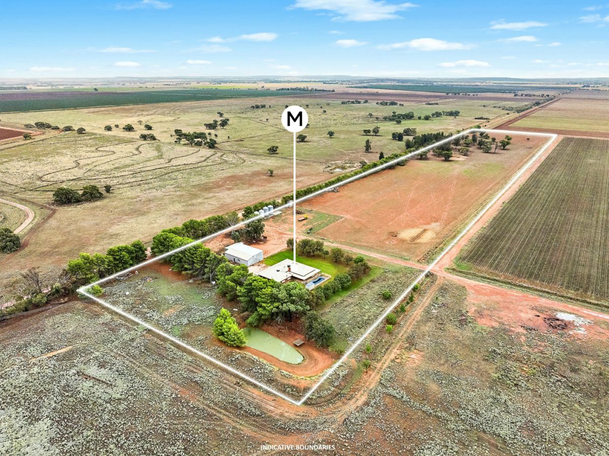 456 Boundary Road, Leeton - image 2