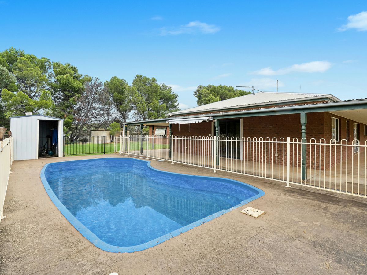 456 Boundary Road, Leeton - image 3