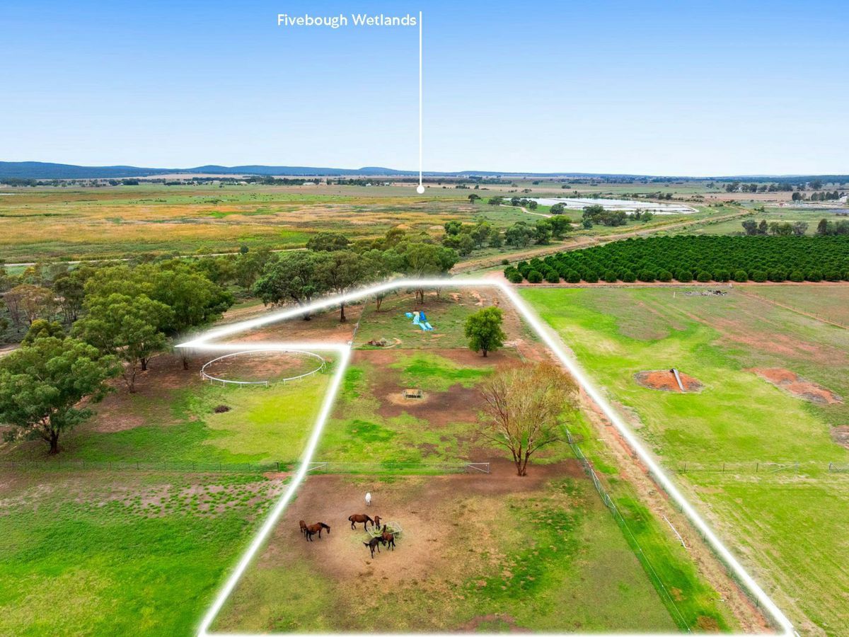 334 Petersham Road, Leeton - image 1