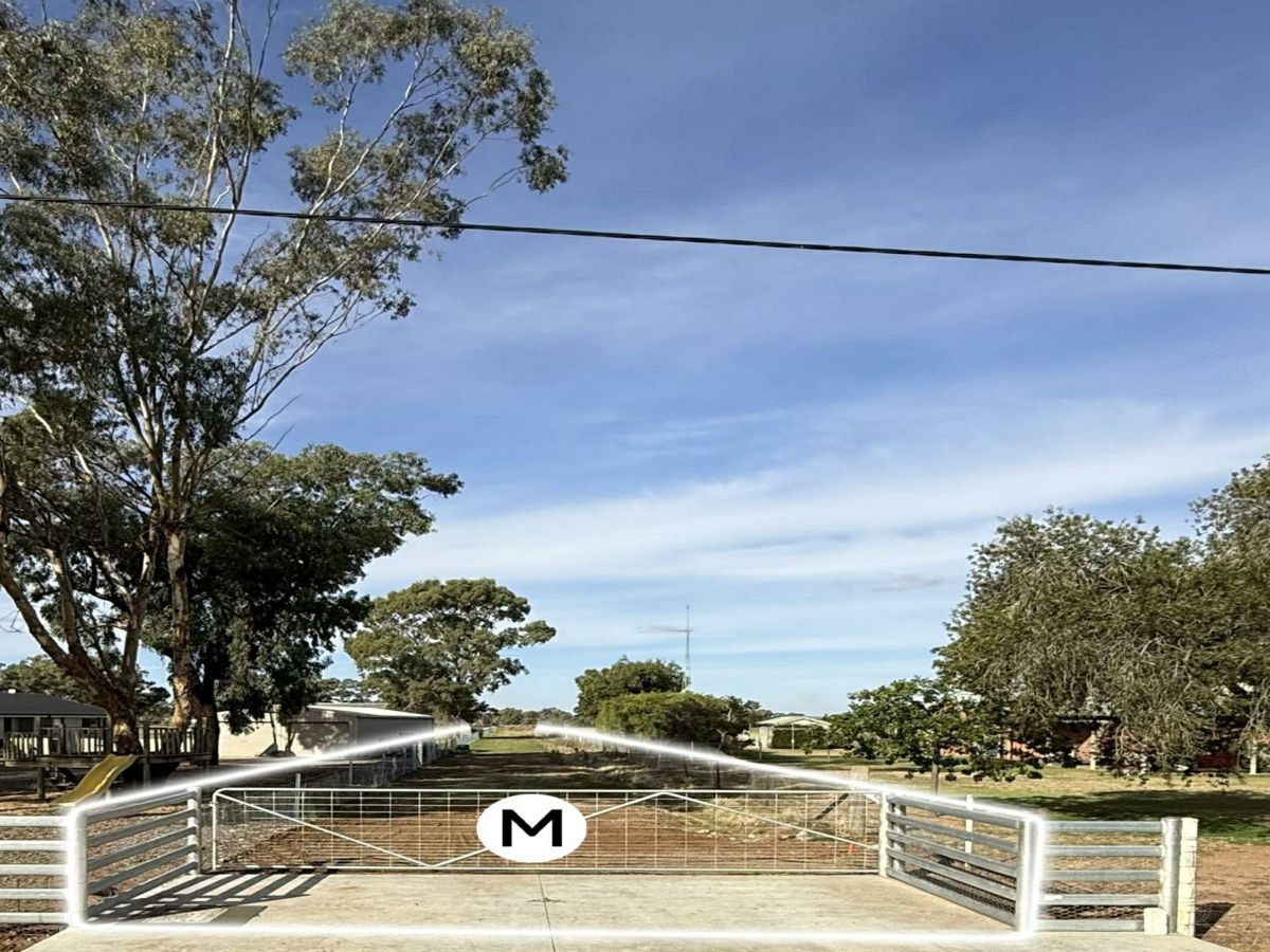 334 Petersham Road, Leeton - image 2