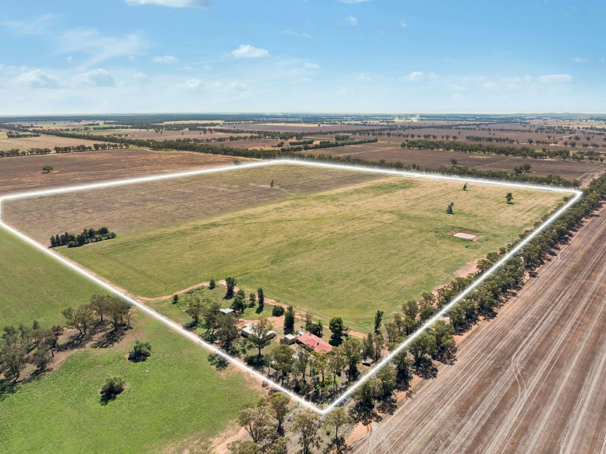 80 Derricks Road, Temora - image 1