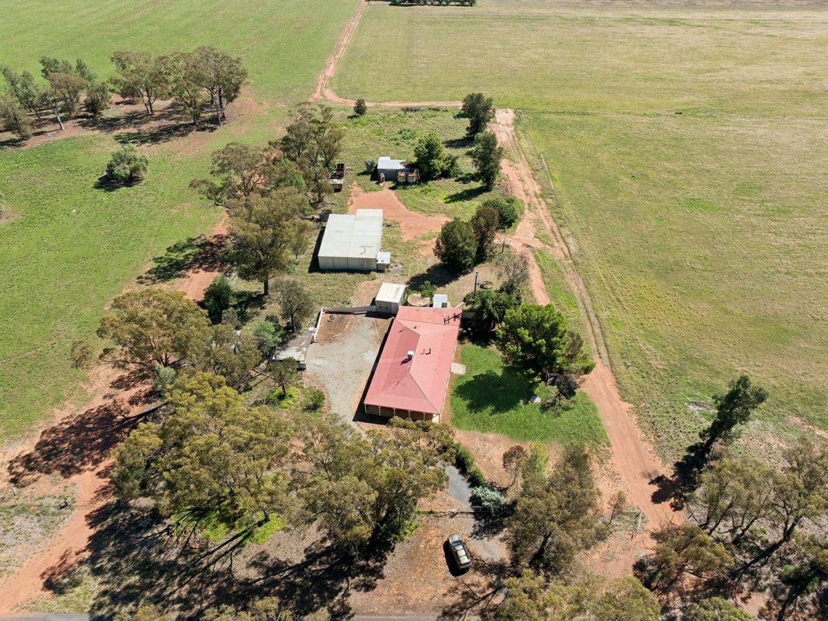 80 Derricks Road, Temora - image 2