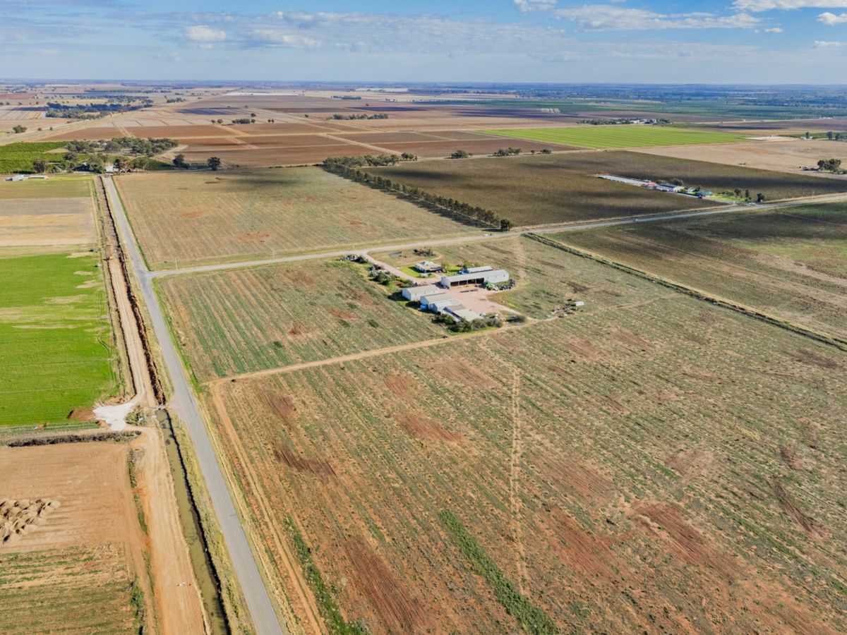 385 Toorak Road, Yanco - image 1