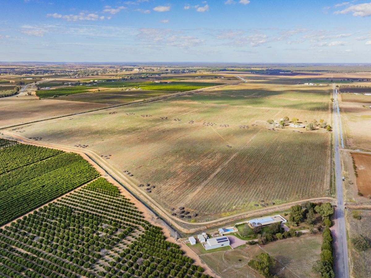 385 Toorak Road, Yanco - image 2