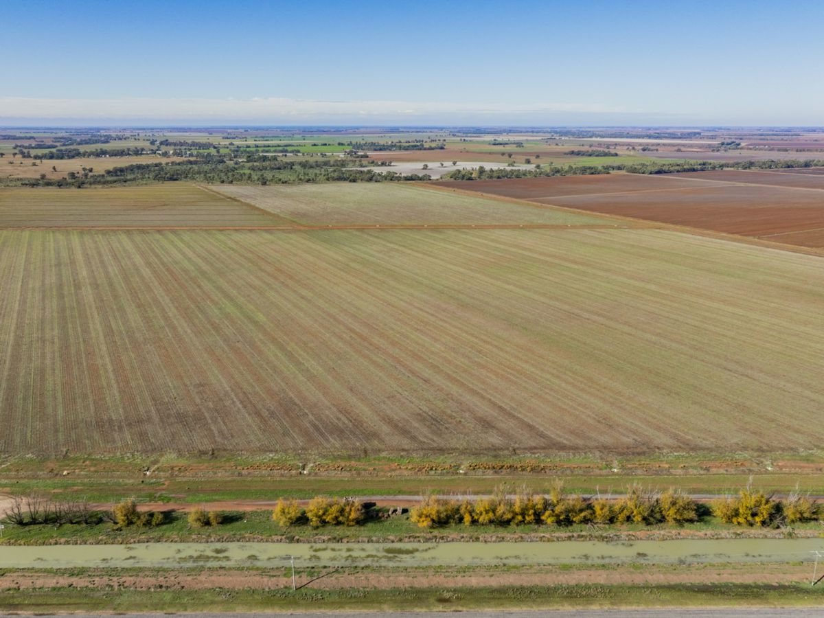 762 Channel Nine Road, Coleambally - image 1