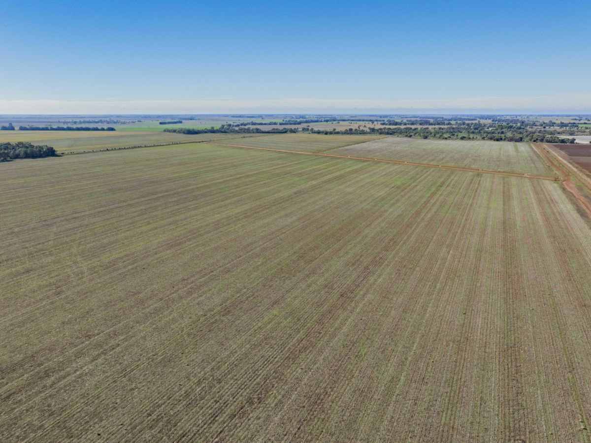 762 Channel Nine Road, Coleambally - image 2