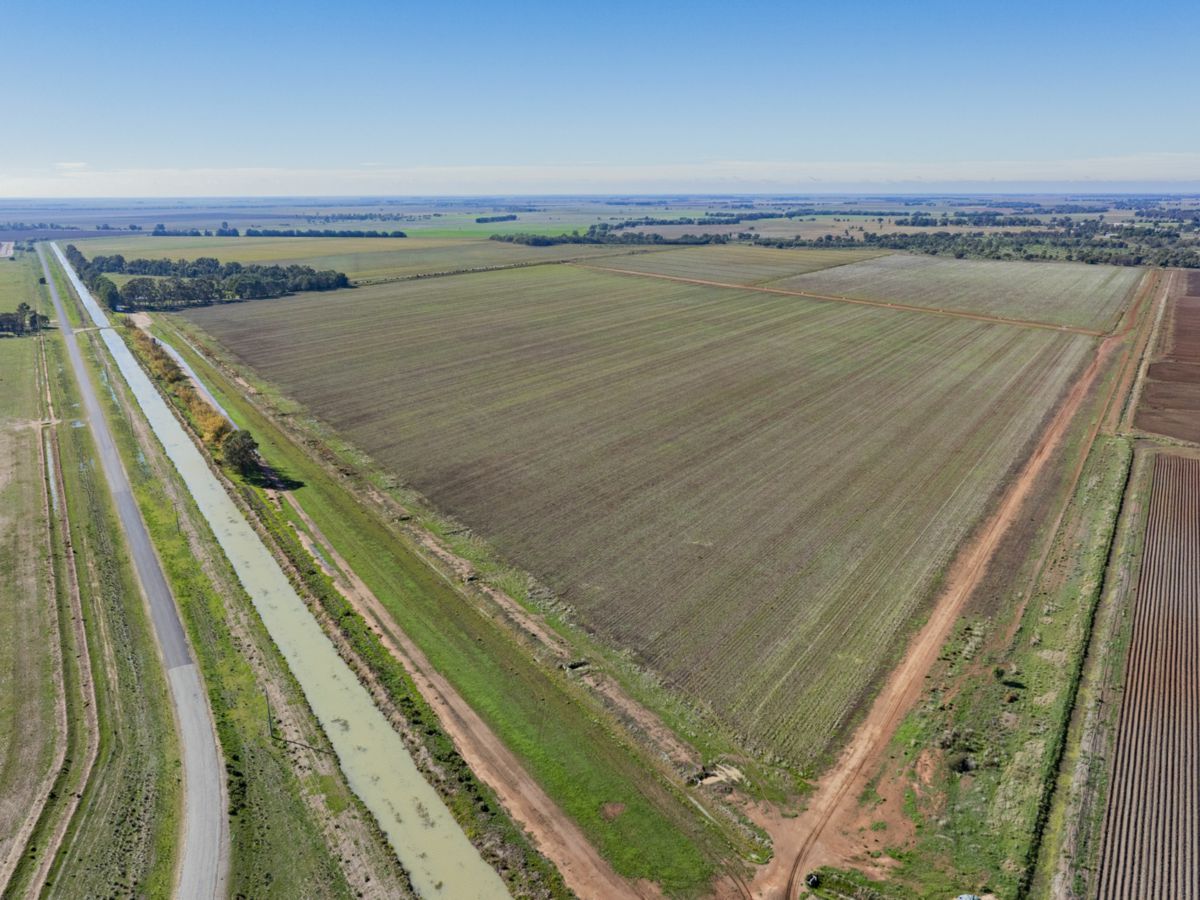 762 Channel Nine Road, Coleambally - image 3