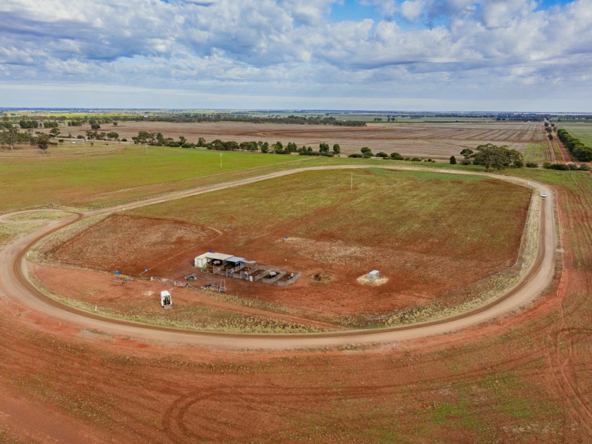 380 Brobenah Hall Road, Leeton - image 1