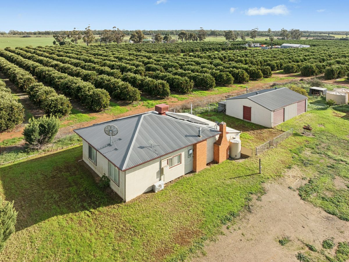 504 McNeil Road, Leeton - image 1