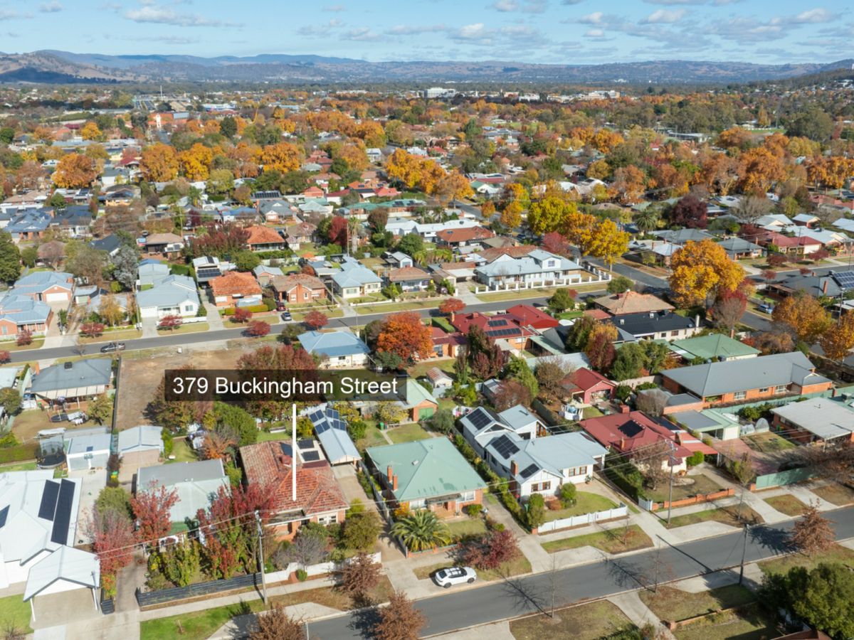 379 Buckingham Street, North Albury - image 3