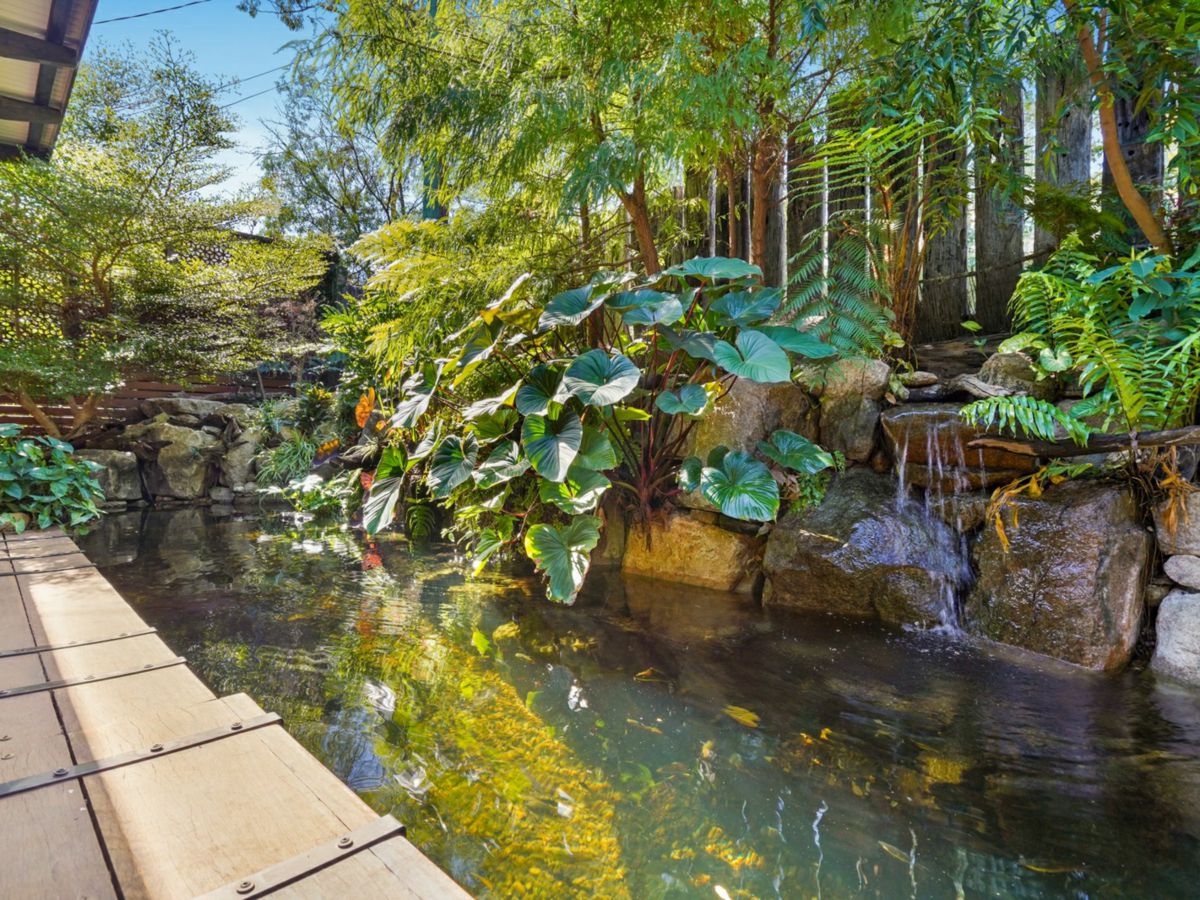 11 Burnham Road, Bardon - image 3